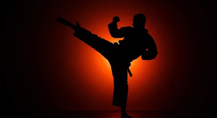 Dynamic silhouette of a martial arts expert executing a high kick with power against a dramatic red background.