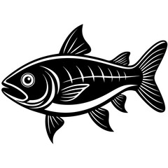 fish vector illustration