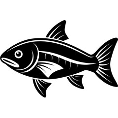 fish vector illustration