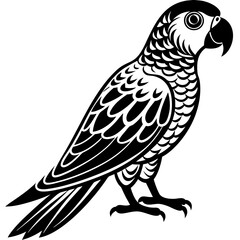 parrot on a branch