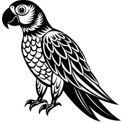 parrot on a branch