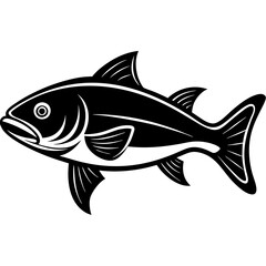 fish on a white background