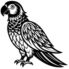vector drawing of a bird