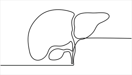One continuous line drawing of human liver organs. Single continuous line drawing of liver anatomy. illustration of liver anatomy concept. Hand Drawn Symbol Vector Illustration.