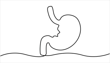 Stomach continuous one line drawing illustration. Single line drawing stomach icon. single line of stomach drawing. illustration of stomachache concept. 