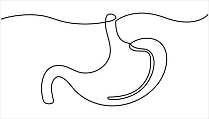 Stomach continuous one line drawing illustration. Single line drawing stomach icon. single line of stomach drawing. illustration of stomachache concept. 