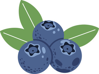 Fresh Blueberries with Leaves: Superfood Berries & Antioxidants