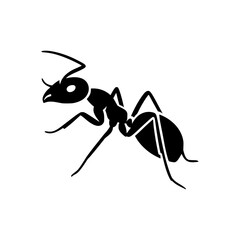 Ant icon