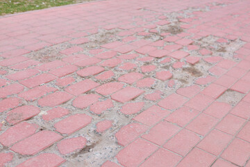 Damaged Red Brick Walkway Needs Immediate Repair