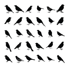 Obraz premium bird silhouette set, Black & White silhouette set