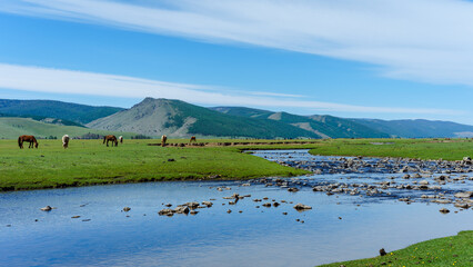 Mongolia. Orkhon River 