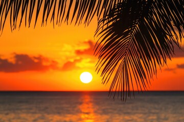 Sunset through palm fronds over ocean