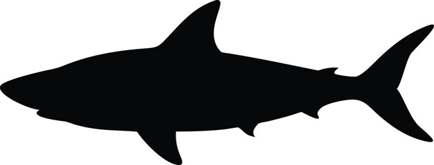 Silhouette of a great white shark illustrating ocean life and marine wildlife on white background