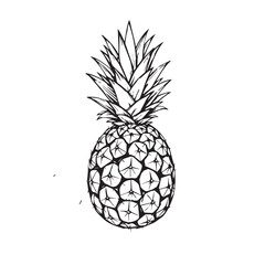 Detailed Black and White Pineapple Illustration with Sharp Leaves and Textured Body