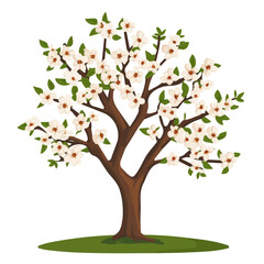 Obraz premium Almond Tree, flat style 2D vector image, isolated on a white background