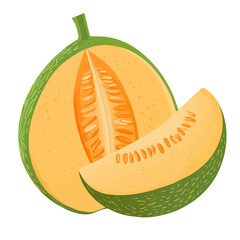 Minimal flat vector of a Cantaloupe, 2D icon-style illustration on white background