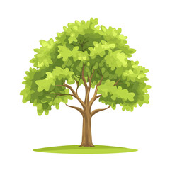 Chestnut Tree, flat style 2D vector image, isolated on a white background