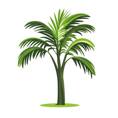 Obraz premium 2D flat vector illustration of a Areca Palm in icon style, isolated on white background