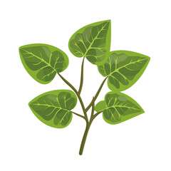 Flat 2D Arrowhead Vine illustration, vector graphic in icon style, on white background