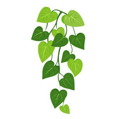 2D flat vector illustration of a Arrowhead Vine in icon style, isolated on white background