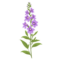 Obraz premium Flat 2D Angelonia Flower illustration, vector graphic in icon style, on white background