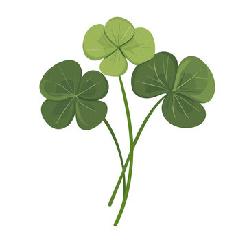 green clovers on white background clip art preview