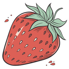 strawberry on a white background