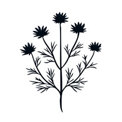 Black Cumin, flat style 2D vector image, isolated on a white background