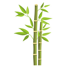Minimal flat vector of a Bamboo, 2D icon-style illustration on white background