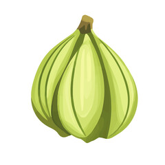 2D flat vector illustration of a Cardamom in icon style, isolated on white background