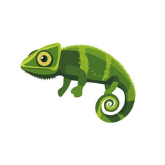 2D flat vector illustration of a Chameleon in icon style, isolated on white background © Antoni