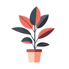 Flat 2D Burgundy Rubber Plant illustration, vector graphic in icon style, on white background
