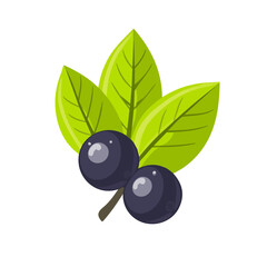 Flat 2D Blueberry Leaf illustration, vector graphic in icon style, on white background
