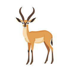 Flat 2D Antelope illustration, vector graphic in icon style, on white background