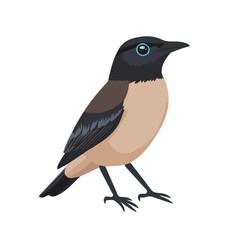 Flat 2D Bowerbird illustration, vector graphic in icon style, on white background