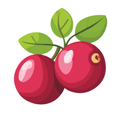 Flat 2D Cranberry illustration, vector graphic in icon style, on white background