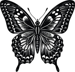 Elegant Black and White Butterfly Illustration High-Resolution Vector Graphic for Design Projects