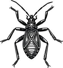 Detailed Illustration of an Assassin Bug A Striking Black and White Drawing of a Reduviidae Insect