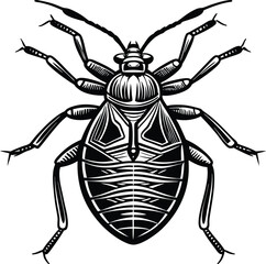 Detailed Line Art Illustration of a Pest Insect Black and White Vector Graphic of an Aphid-like Bug