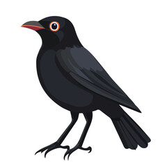 Bowerbird, flat style 2D vector image, isolated on a white background