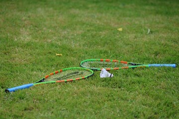 Two vibrant badminton rackets with blue handles and a white shuttlecock resting on a lush green...