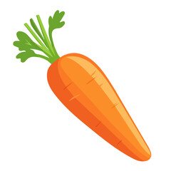 Carrot, flat style 2D vector image, isolated on a white background