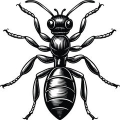 Detailed Illustration of a Carpenter Ant High-Resolution Vector Graphic for Print and Digital Use