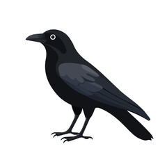 Minimal flat vector of a Crow, 2D icon-style illustration on white background