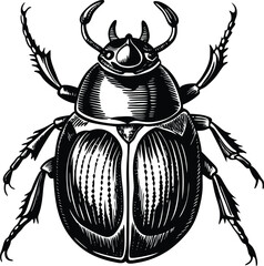 Detailed Illustration of a Dung Beetle  Engraving Style Vector Graphic