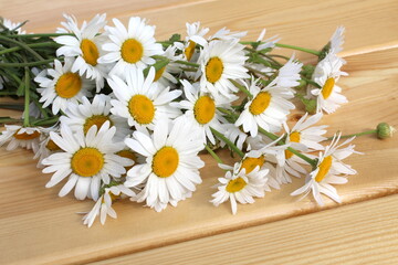 Chamomile flowers lie on a wooden background.