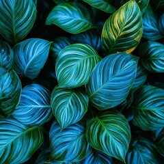 Striking Arrangement of Blue Tinted Leaves with Intricate Patterns for a Calm Nature Aesthetic
