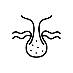 Icon of sebaceous gland representing skin health and function  