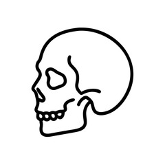Skull side view outline in minimalist style on white background  