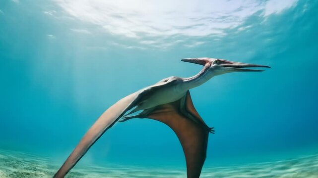 Pterosaur Swimming Underwater - An artistic depiction of a pterosaur swimming gracefully underwater in a clear blue ocean setting.